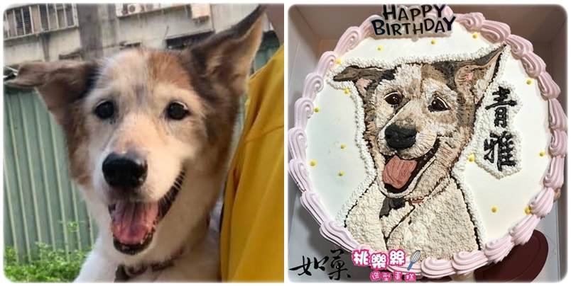 狗造型蛋糕_025,狗照片蛋糕_25, dog photo cake_25, photo dog cake_25, cake photo dog_25