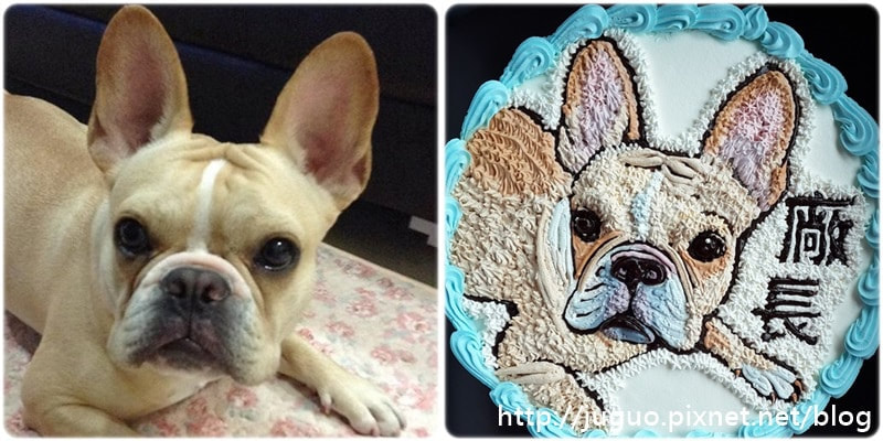 狗造型蛋糕_8,狗照片蛋糕_08, dog photo cake_08, photo dog cake_08, cake photo dog_08