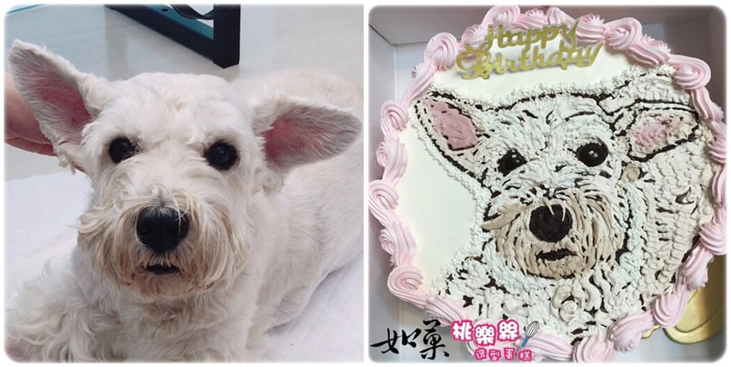 狗造型蛋糕_012,狗照片蛋糕_12, dog photo cake_12, photo dog cake_12, cake photo dog_12