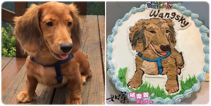 狗造型蛋糕_018,狗照片蛋糕_18, dog photo cake_18, photo dog cake_18, cake photo dog_18