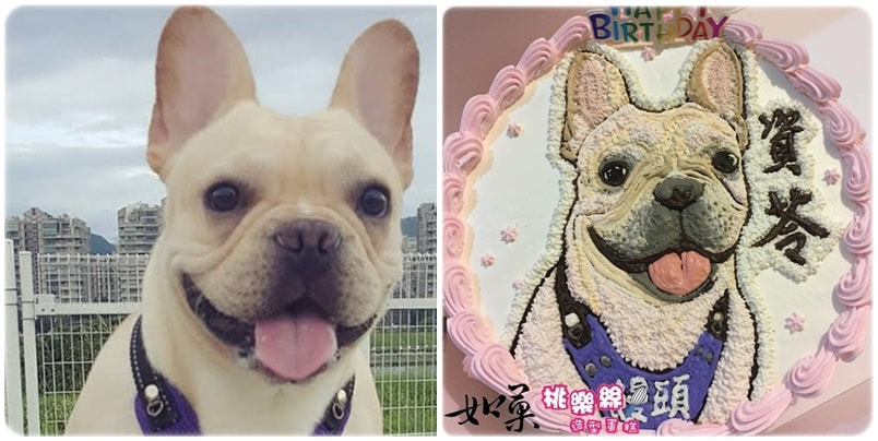 狗造型蛋糕_020,狗照片蛋糕_20, dog photo cake_20, photo dog cake_20, cake photo dog_20