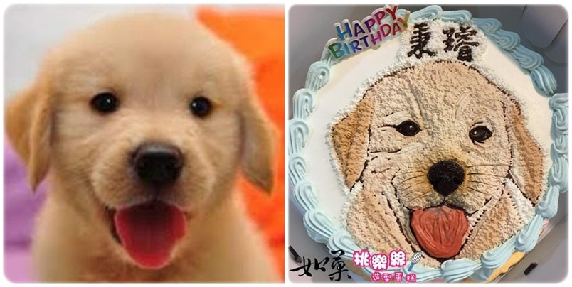 狗造型蛋糕_021,狗照片蛋糕_21, dog photo cake_21, photo dog cake_21, cake photo dog_21