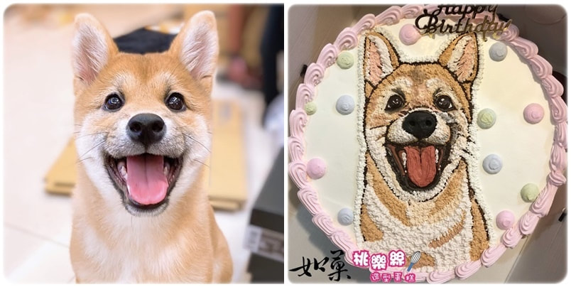 狗造型蛋糕_7,狗照片蛋糕_07, dog photo cake_07, photo dog cake_07, cake photo dog_07