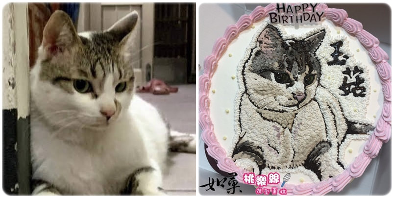 貓造型蛋糕_027,貓照片蛋糕_27, cat photo cake_27, photo cat cake_27, cake photo cat_27