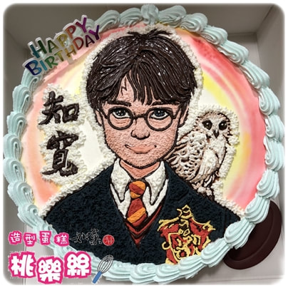 哈利波特造型蛋糕, Harry Potter CAKE