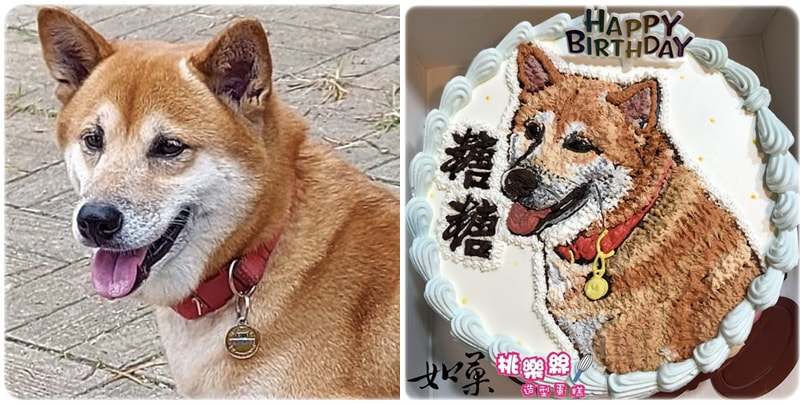 狗造型蛋糕_030,狗照片蛋糕_30, dog photo cake_30, photo dog cake_30, cake photo dog_30