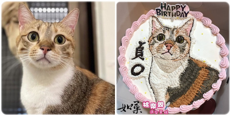 貓造型蛋糕_028,貓照片蛋糕_28, cat photo cake_28, photo cat cake_28, cake photo cat_28
