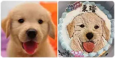 狗 蛋糕,狗 造型 蛋糕,狗 肖像 蛋糕,寵物 造型 蛋糕,手繪 寵物 蛋糕,寵物 肖像 蛋糕,客製化 寵物 蛋糕,Dog Cake,Pet Cake,Dog Portrait Cake