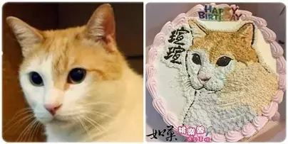 寵物造型蛋糕,小貓造型蛋糕,貓肖像蛋糕,寵物肖像蛋糕,客製化寵物蛋糕,手繪蛋糕, Portrait Cake for PET, Pet Portrait Cake, Cat Portrait Cake, PET Customized Cake, Custom PET Cake