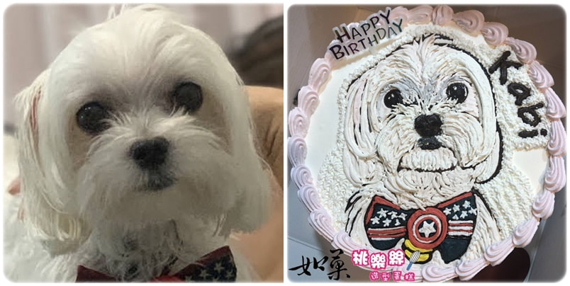 狗造型蛋糕_024,狗照片蛋糕_24, dog photo cake_24, photo dog cake_24, cake photo dog_24